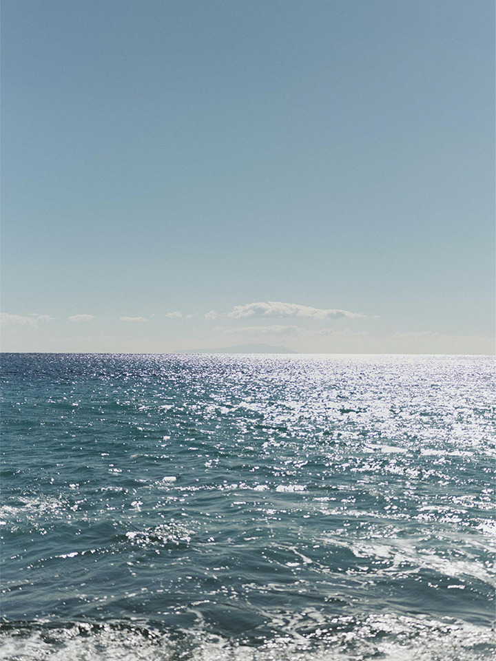 2025 spring & summer collection