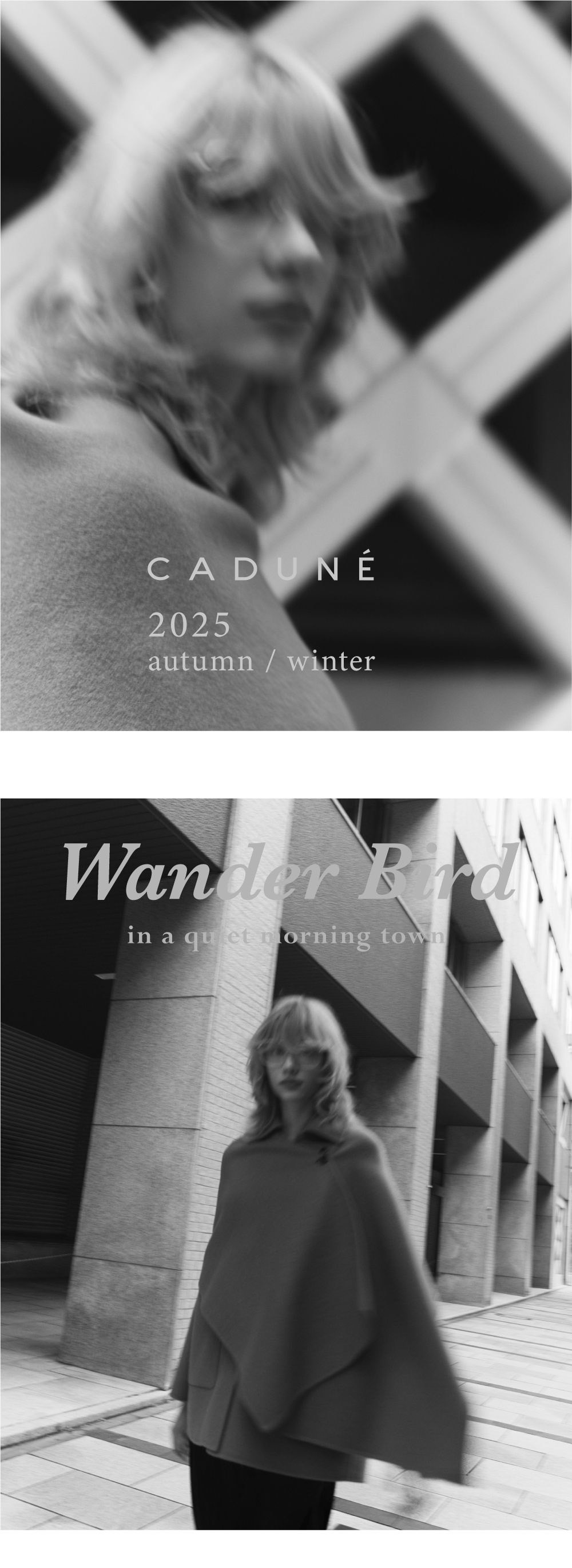 2025 autumn / winter