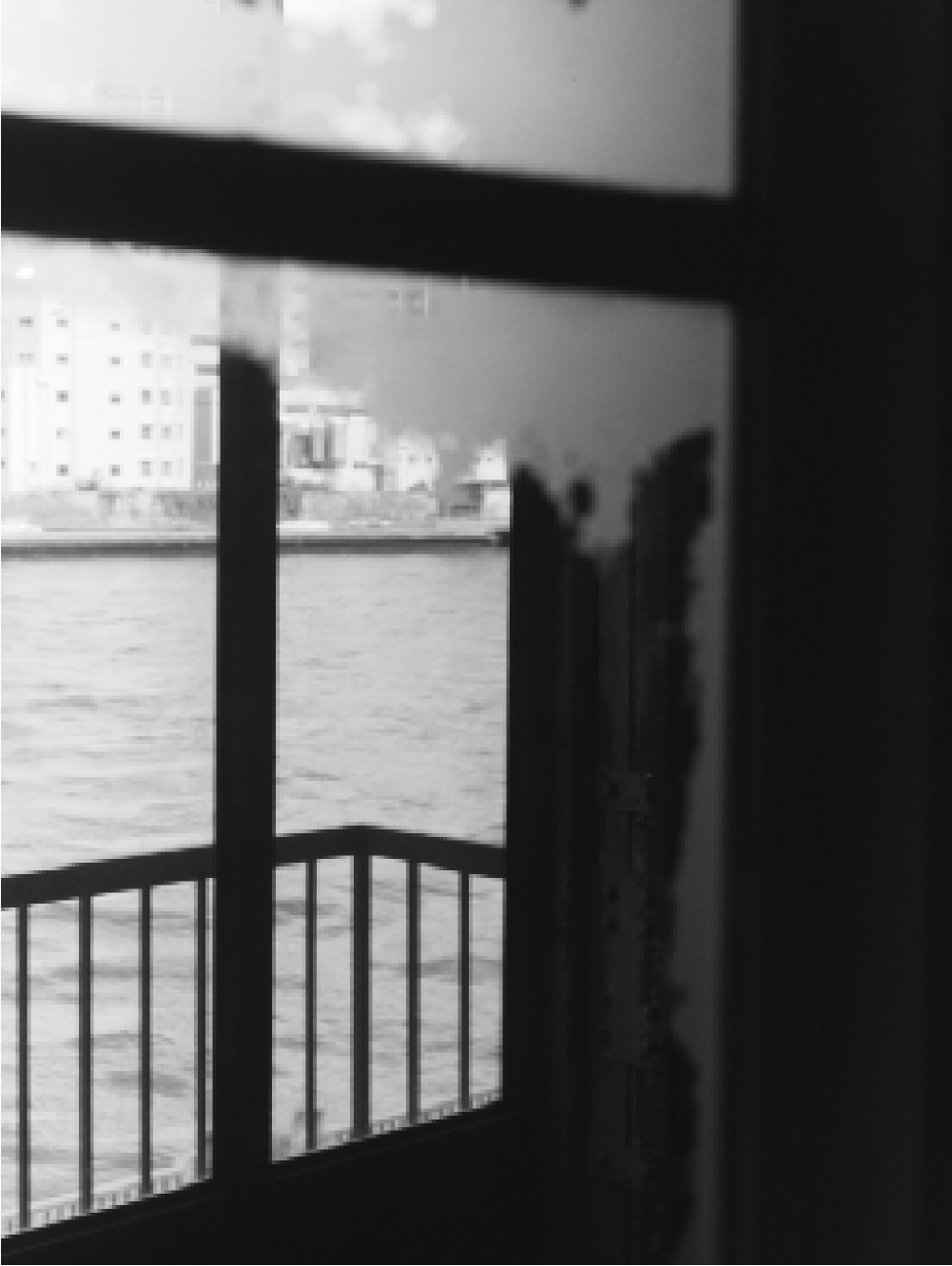 2025 autumn / winter