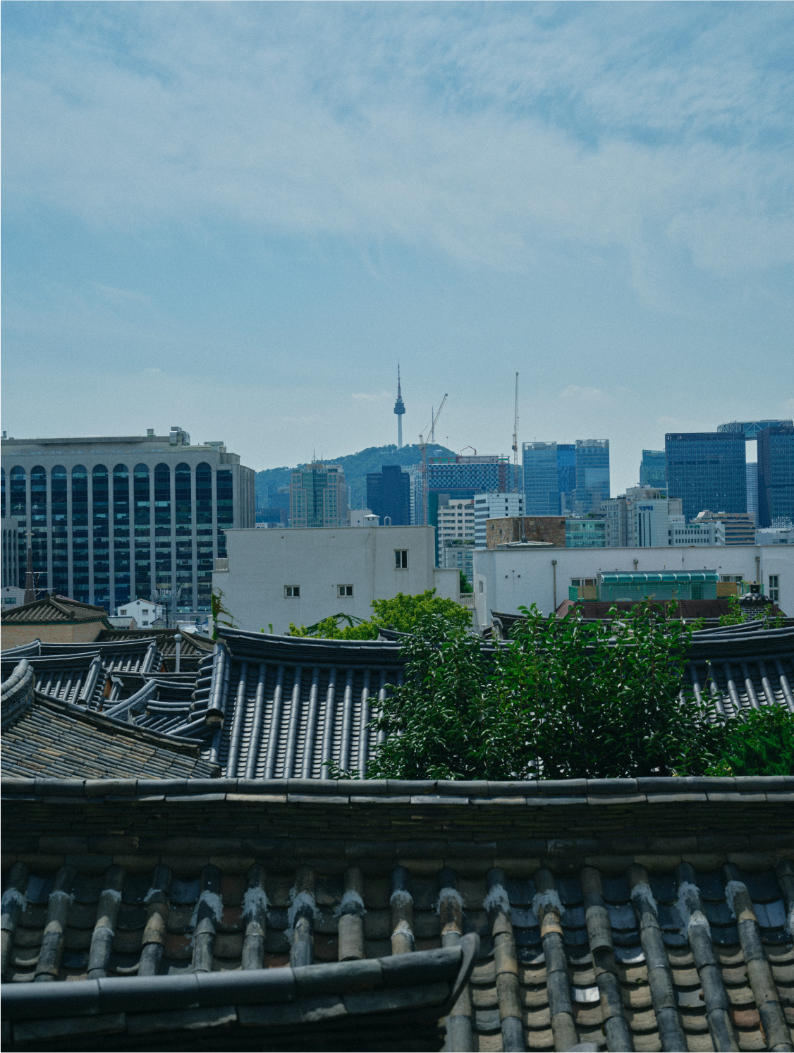 11月5日公開 WEB ALBUM｜神崎恵｜CADUNE