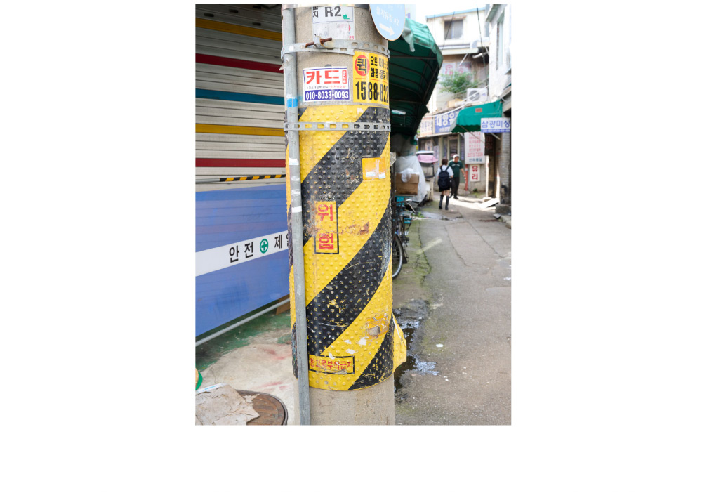 11月5日公開 WEB ALBUM｜神崎恵｜CADUNE