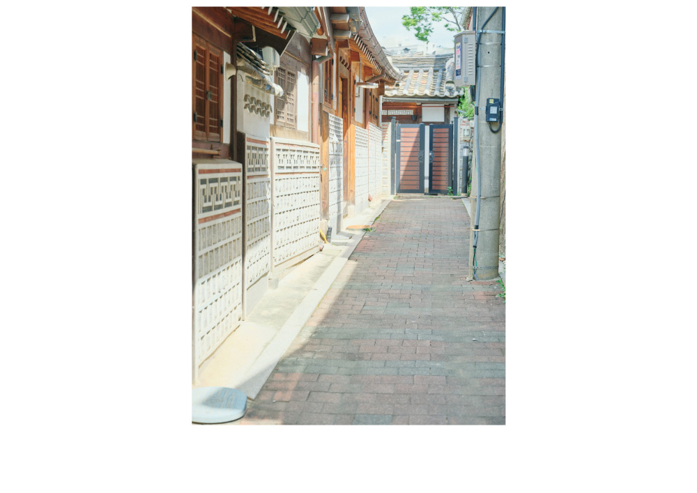 11月5日公開 WEB ALBUM｜神崎恵｜CADUNE