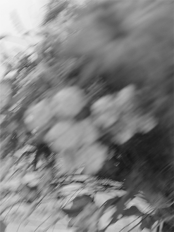 2月25日公開 WEB VISUAL｜2026 spring/summer｜CADUNE