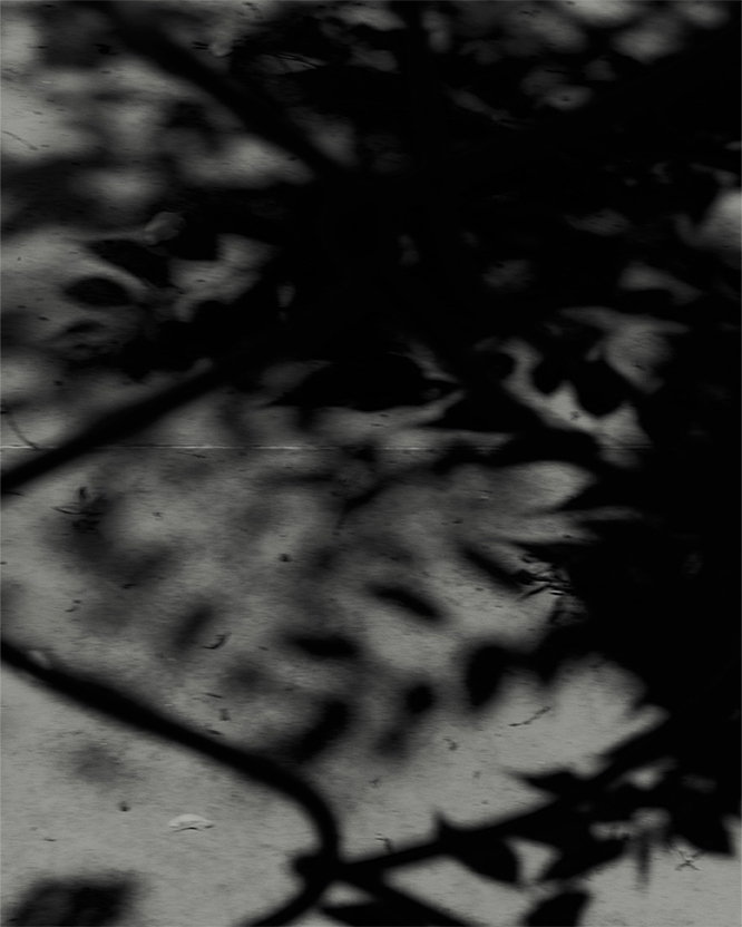 8月19日公開 WEB VISUAL｜2026 autumn/winter｜CADUNE
