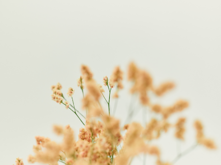 2021 AUTUMN STYLE BOOK - Mystrada