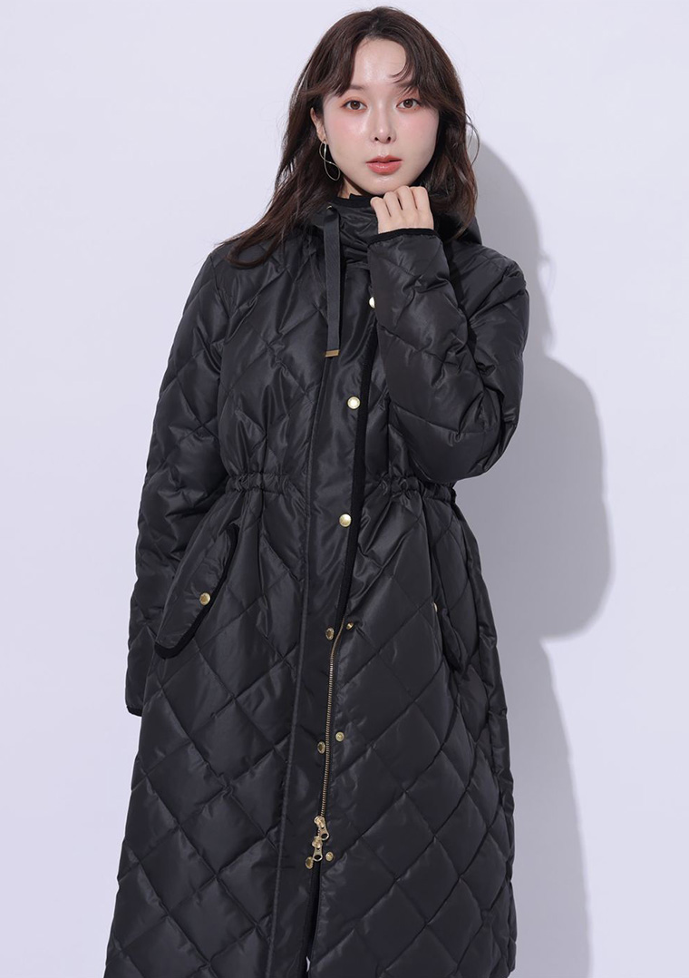 TAION special collaboration
