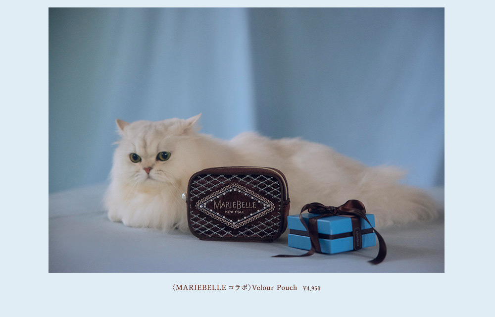 MARIEBELLE Special Collaboration